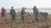 Tak Cukup Ditanam, Mangrove di Sepanjang Pesisir Margoyoso Juga Butuh Perawatan