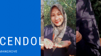 Unik-di-Desa-Tunggulsari-Tayu-Buah-Mangrove-Diolah-Jadi-Cendol.png Unik, di Desa Tunggulsari Tayu, Buah Mangrove Diolah Jadi Cendol