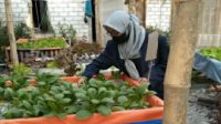 Warga Trimulyo Juwana Ciptakan Usaha Mikro