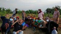 kkn-uns-kelompok-108.jpg Ini Upaya Mahasiswa KKN UNS Dalam Menjaga Ketahanan Pangan di Masa Pandemi