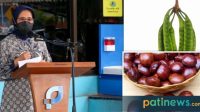 Mantab, Petai dan Jengkol Asal Jateng Bidik Pasar Australia