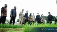 Menteri Pertanian Kunjungi Pati, Singgung Isu Perubahan Iklim