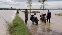 Tanggul Jebol, 15 Hektar Sawah di Desa Soko Gabus Terendam