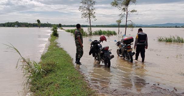 Tanggul Jebol, 15 Hektar Sawah di Desa Soko Gabus Terendam