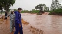 Tanggul Jebol, 5 Hektar Sawah di Desa Margorejo Wedarijaksa Terendam