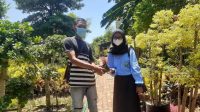 Tempat Penjualan Bibit Tanaman Hias Selalu Ramai, Lagi Ngetren Berkebun