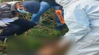 Pria Tanpa Identitas Ditemukan Tersengat Listrik di Area Persawahan Margorejo