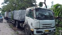 Angin Puting Beliung Terjang Juwana, Pohon Bertumbangan
