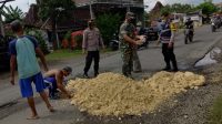 Antisipasi Laka Lalin, Sejumlah Personel Koramil Tambakromo Bersama Personel Polsek Timbun Jalan Yang Rusak