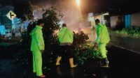 Respons Cepat, Polres Pati Lakukan Penanganan Pohon Tumbang di Wedarijaksa