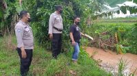 IMG16440626969950.jpg Seorang Warga Dilaporkan Hanyut di Sungai Bulungan Tayu