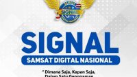 SIGNAL.jpg