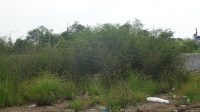 DSC08604.jpg