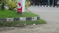 DSC08977.jpg