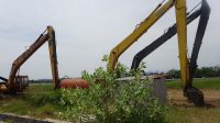 DSC09183.jpg