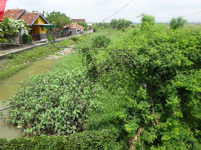 DSC09200