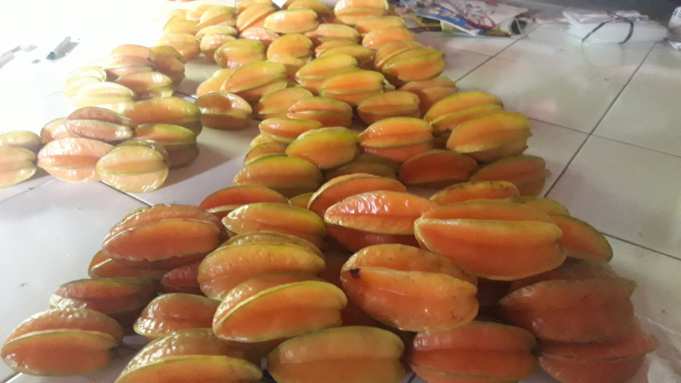 Belimbing Kunir dari Temenur, Welahan, Jepara.(Foto:SN/dok-hp) Belimbing Kunir dari Temenur, Welahan, Jepara.(Foto:SN/dok-hp)