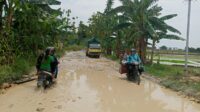 IMG-20230104-WA0000.jpg